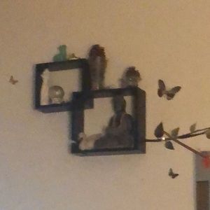 Meet your Posher, Eve